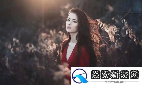 2024年日本三色電費免費政策